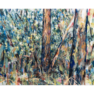 A time to ramble on (Terrey Hills, Darramuragul land)