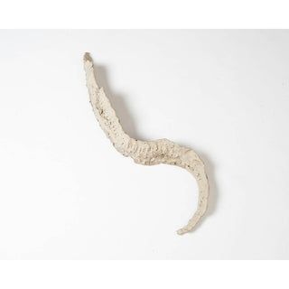 Jessica Smith | Ceramics | Between becomings