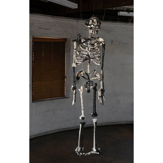 Omi McCurdie | Drawing | Bones and Memories