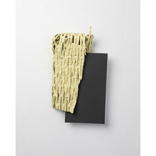 Luna Gui | Drawing | CI Enfolds