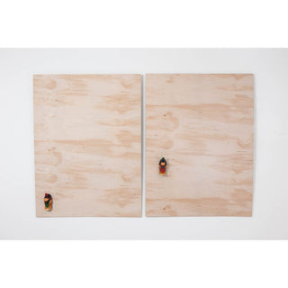 Max Perkins | Printmaking | Flightless