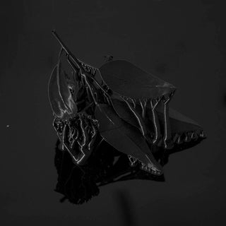 Untitled III (Hybrid Gaze)