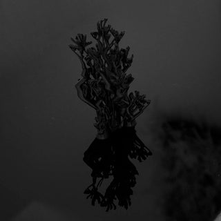 Untitled II (Hybrid Gaze)