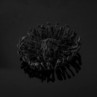 Untitled I (Hybrid Gaze)