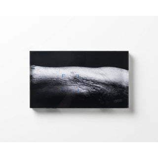 Louis Nesbitt | Printmaking | LUA.1.53