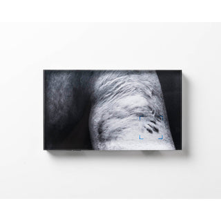 Louis Nesbitt | Printmaking | LUA.1.89