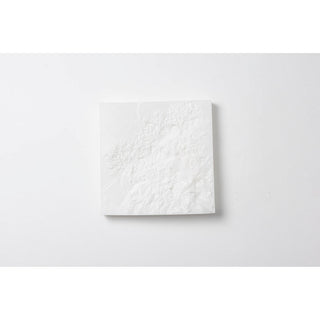 Void (Series, Untitled 1 through to 7)