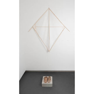 Buster Allanson | Printmaking | Attempting Flight