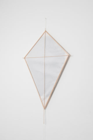 Buster Allanson | Printmaking | Kites