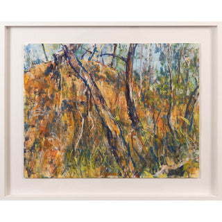 Elena Larkin | Drawing | Tethered to our mess (Hill End, Wiradjuri land)